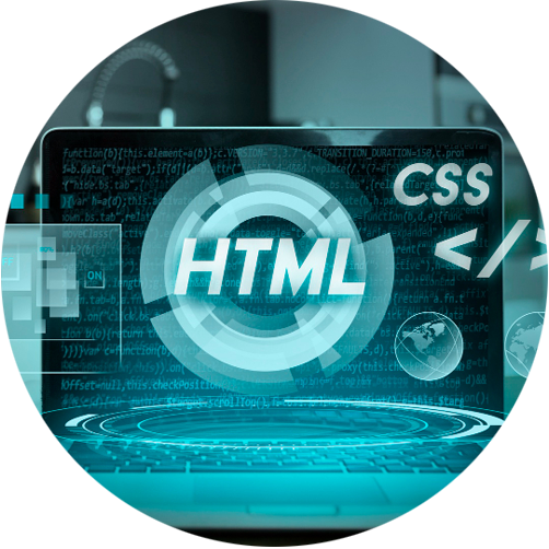 Web Design & Development